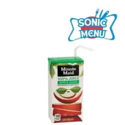 minute maid 100% apple juice box